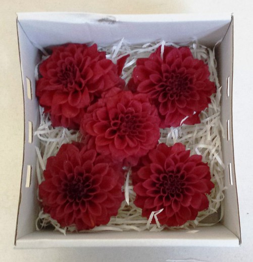 Cajas de Rosas