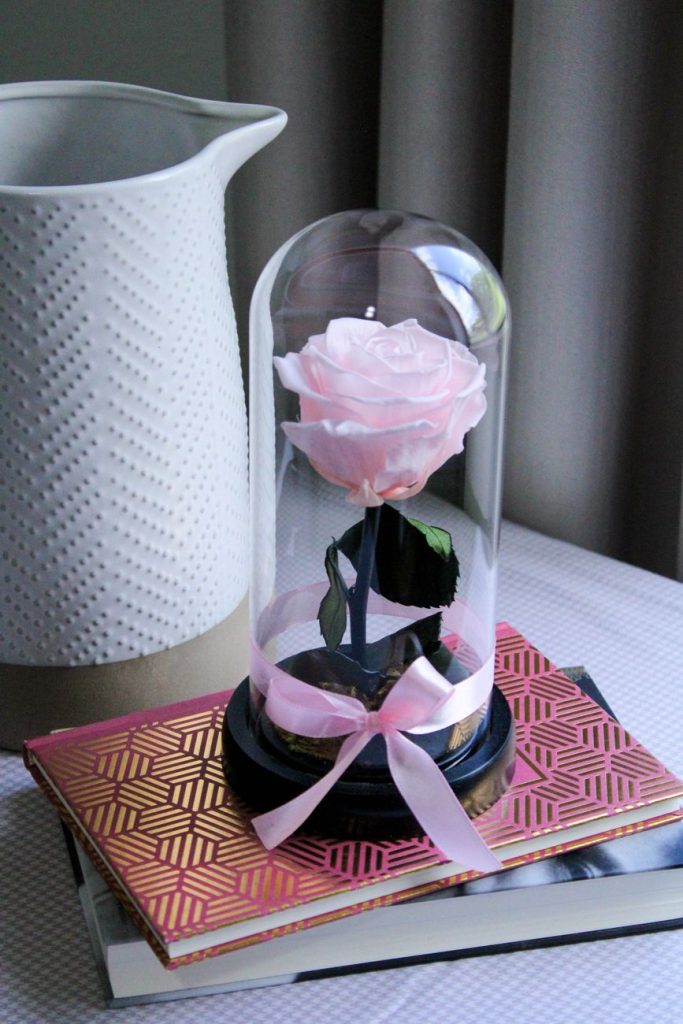 Rosa Eterna en Cúpula de Cristal