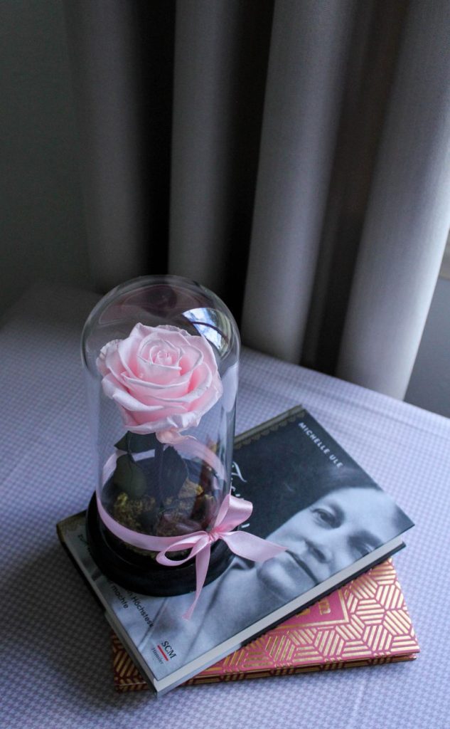 Rosa Eterna bajo Cúpula de Cristal